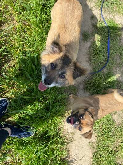 Lieblingsbild :D-Beitrag-Bild