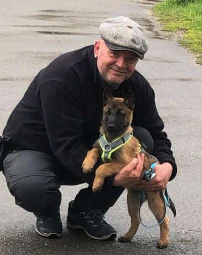 Zeigt eure Malinois!!!-Beitrag-Bild