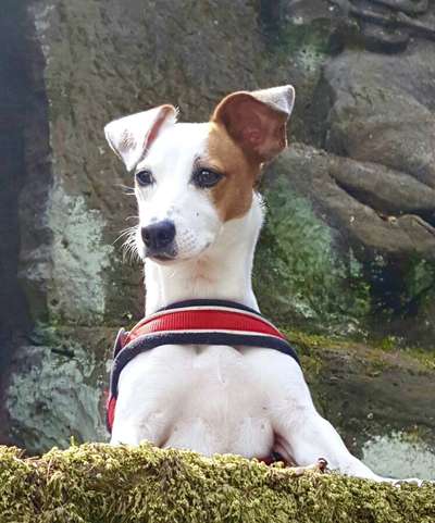 Fotochallange Nr. 57     PORTRÄT.   Beendet!!!!!!!!-Beitrag-Bild