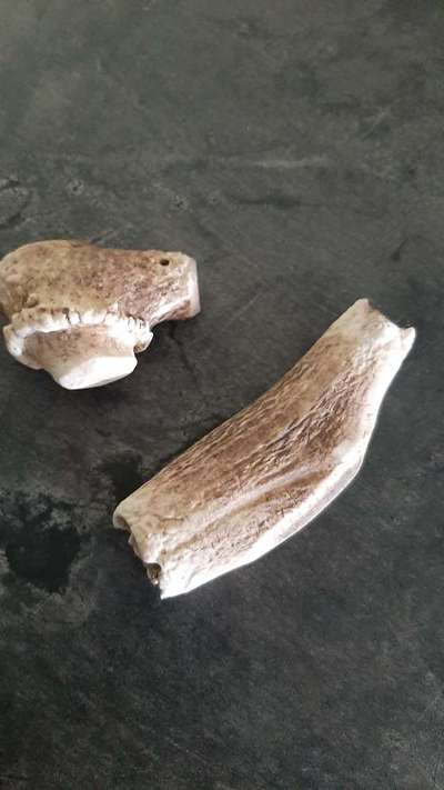 Knochen steckte im Rachen quer-Beitrag-Bild