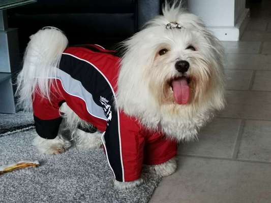 Süße Winteroutfits 😍-Beitrag-Bild