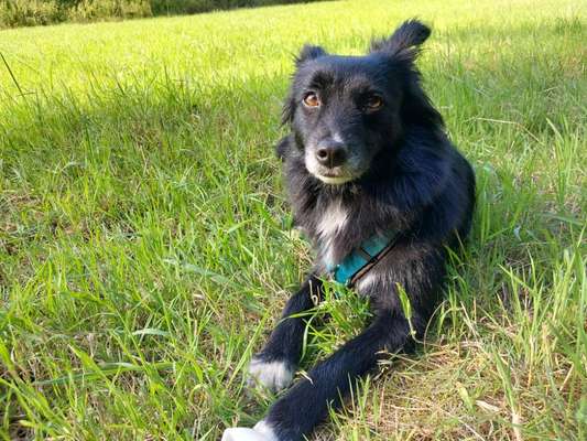 Silvester am Flughafen Köln/Bonn-Beitrag-Bild