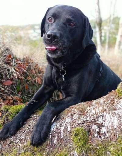 20. Handy -Foto-Callenge-Beitrag-Bild