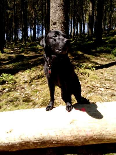 Fotochallange Nr. 46

Schattenspiele BEENDET!!!!!-Beitrag-Bild