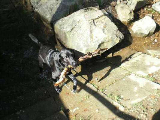 Fotochallenge Nr. 64-Beitrag-Bild