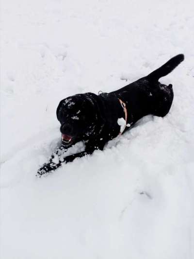 Der erste Schnee, zeigt uns eure tollen Schneemomente-Beitrag-Bild