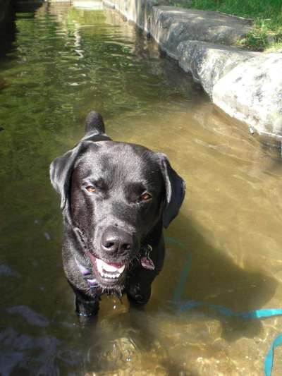 Theos Fotochallange Nummer 4-Beitrag-Bild