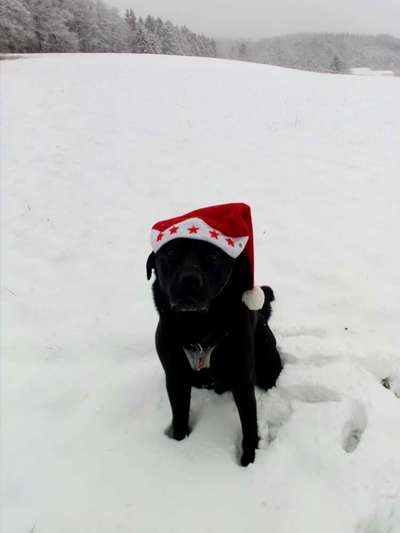 It's beginning to look a lot like.....-Beitrag-Bild