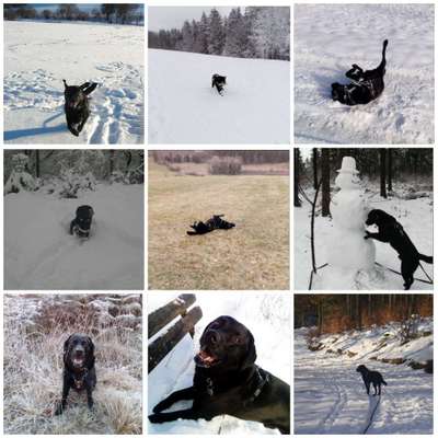 13. Collage- Challenge 
Beschäftigung in der kalten Jahreszeit-Beitrag-Bild