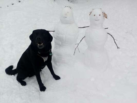 Schnee Foto-Beitrag-Bild