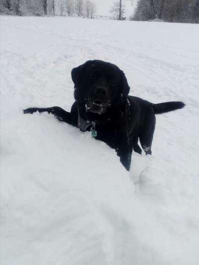 Fotochallenge 61 ~ Schnee-Beitrag-Bild