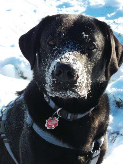 Fotochallenge Nr. 67: Euer Lieblingsbild-Beitrag-Bild