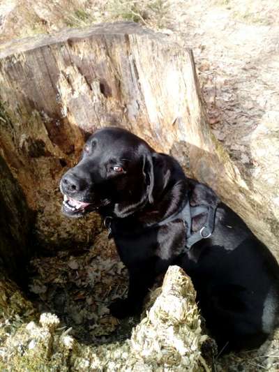 Von oben-Beitrag-Bild