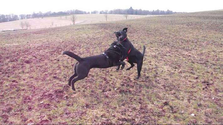 Fotochallenge Nr. 52 „Spring!“-Beitrag-Bild