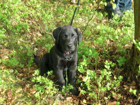 Sie werden so schnell erwachsen ...-Beitrag-Bild