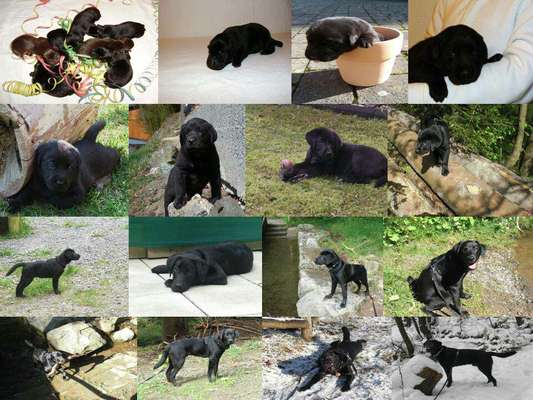 Sie werden so schnell groß!-Beitrag-Bild