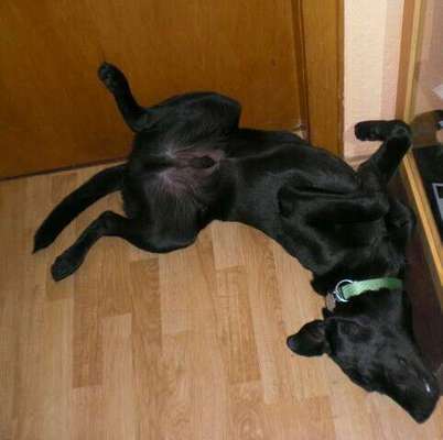 Fotochallenge Nr.65-Beitrag-Bild