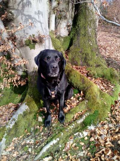 Zeigt mal eure besten Freunde-Beitrag-Bild