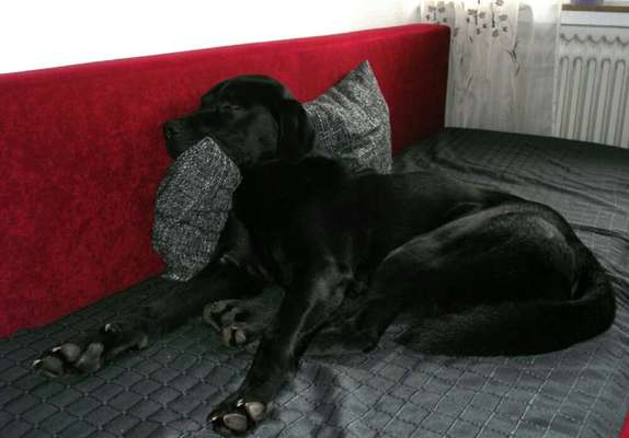 Foto Challange Nr.80-Beitrag-Bild