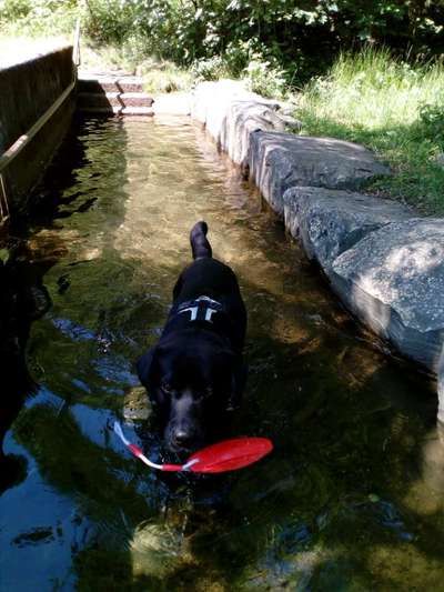 Fotochallenge Nr. 94 It's summer time-Beitrag-Bild