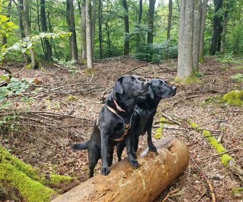 Fotochallenge 69-Beitrag-Bild