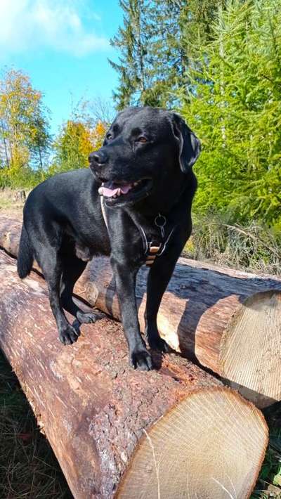 27. Handy Fotochallenge-Beitrag-Bild