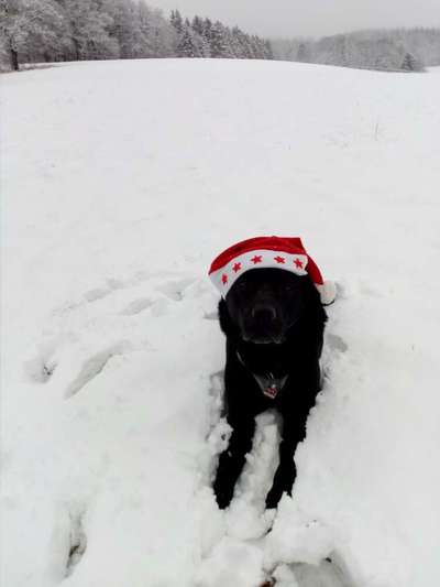 It's beginning to look a lot like.....-Beitrag-Bild