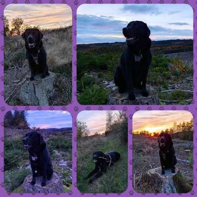 14. Collagen Challenge- Sonnenaufgang & -Untergang-Beitrag-Bild