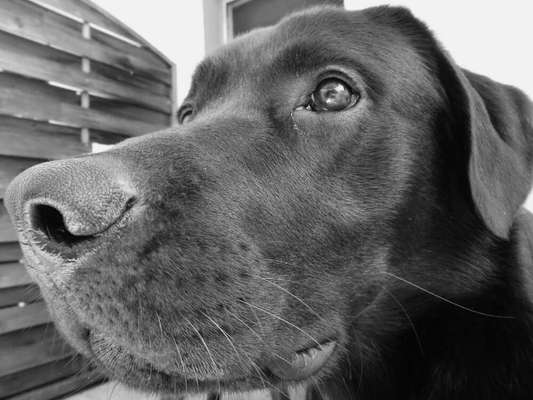 Foto-Challenge 76: Foto in Schwarz-Weiss-Beitrag-Bild