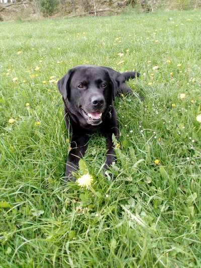 Fotowettbewerb Natur-Beitrag-Bild