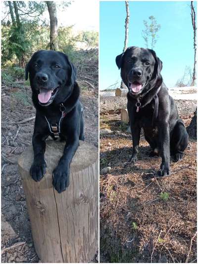 Doppelgänger gesucht !-Beitrag-Bild