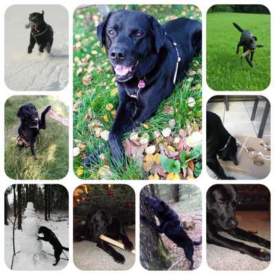 12. Collagen Challenge - Auslastung/Training-Beitrag-Bild