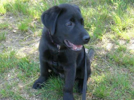 Vorher.... Nachher-Beitrag-Bild