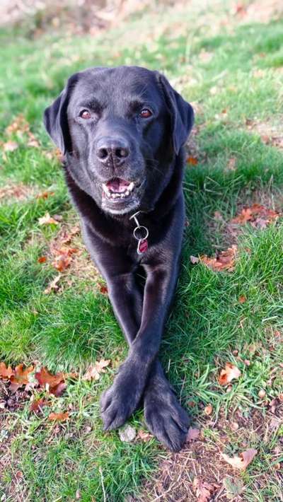 25. Handy Foto Challenge-Beitrag-Bild