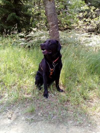 Vorher.... Nachher-Beitrag-Bild