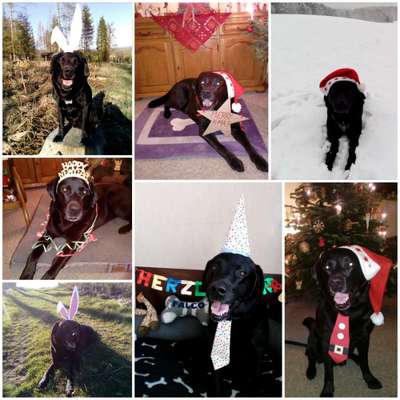 8. Collagen Challenge - Feste/Feierlichkeiten-Beitrag-Bild