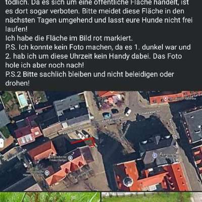 Giftköder-Schneckenkorn/Blaukorn ausgelegt-Bild