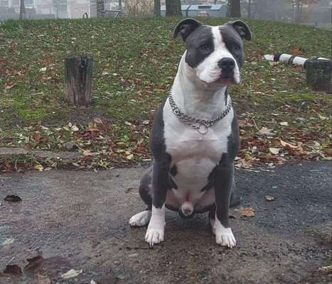 Vorher.... Nachher-Beitrag-Bild