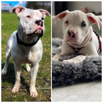 Vorher.... Nachher-Beitrag-Bild