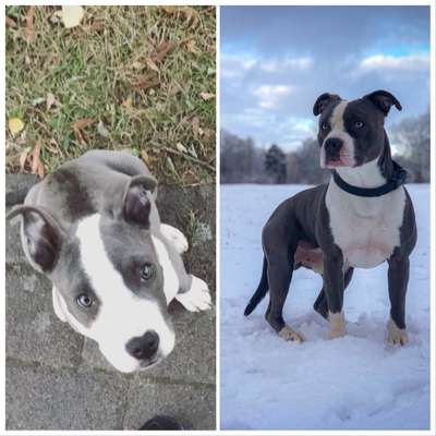 Vorher.... Nachher-Beitrag-Bild