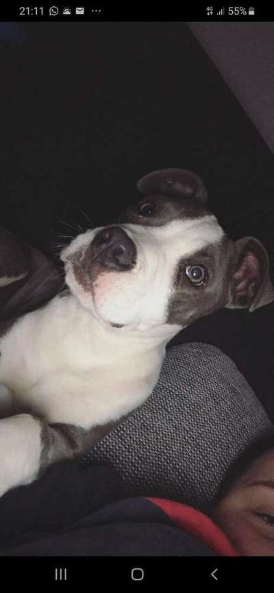 Vorher.... Nachher-Beitrag-Bild