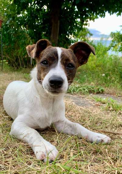 Zeigt eure Portraits-Beitrag-Bild