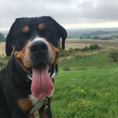 Kerstin's Profilbild