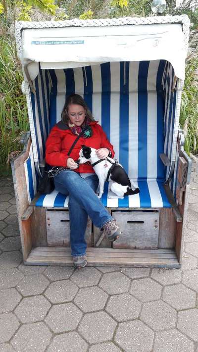 Die Dogorama Wochen Challenge: “Dein Hund im Urlaub”-Beitrag-Bild