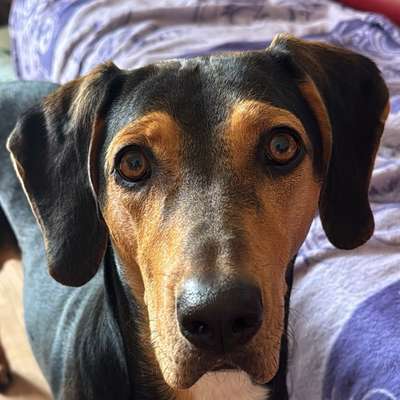 Petra's Profilbild