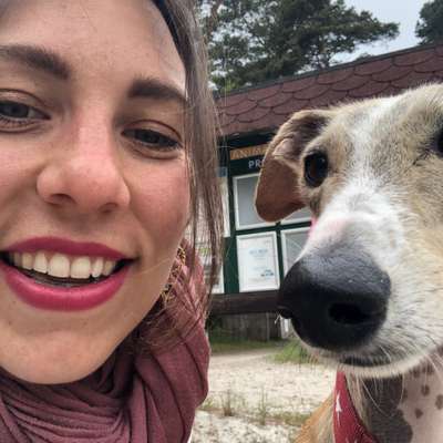 Hundetreffen-Spieletreffen Pfarrhof Tessin-Profilbild