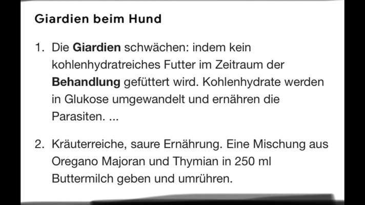 Giardien-Beitrag-Bild