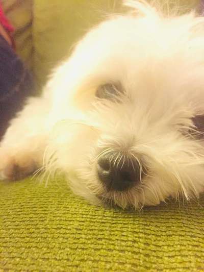 Lieblings Schnappschuss?-Beitrag-Bild