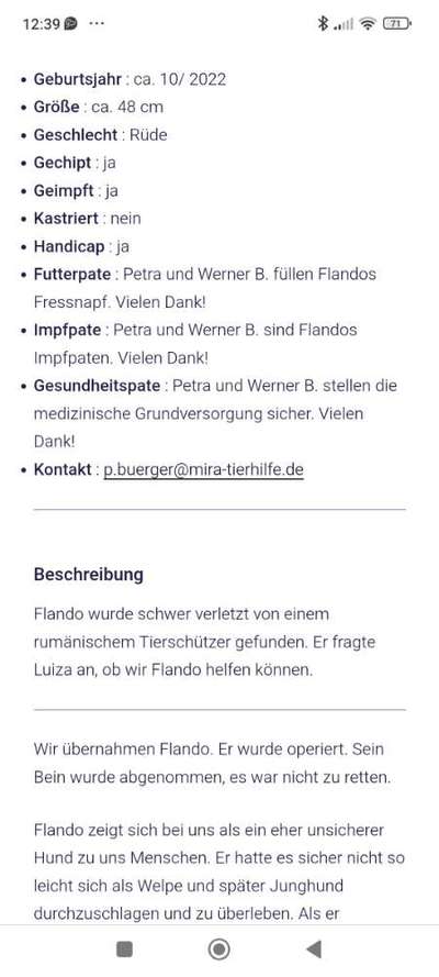 Tierschutzhunde suchen ein Zuhause-Beitrag-Bild