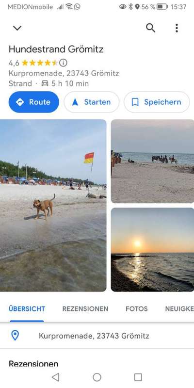 Ostsee mit Hund - Hundestrandnähe-Beitrag-Bild